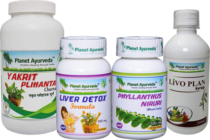 Hepatitis, What Is Hepatitis, Hepatitis in Dogs, Hepatitis In Dogs & Its Ayurvedic Treatment, Types Of Hepatitis In Dogs, Causes Of Hepatitis In Dogs, Symptoms Of  Hepatitis In Dogs, Diagnosis Of  Hepatitis In Dogs, How To Prevent Hepatitis In Dogs, Ayurvedic Overview Of  Hepatitis In Dogs, Herbal Remedies For Hepatitis In Dogs, Herbal Remedies By Planet Ayurveda For  Hepatitis In Dogs