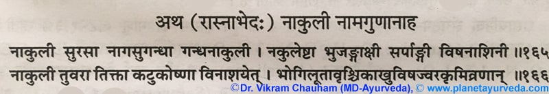 Ancient verse about Sarpagandha (Rauwolfia serpentina)