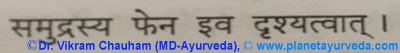 Ancient verse about Samudra Fen (Sepia officinalis)