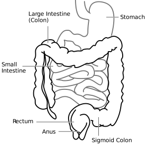 Diagnosis of Ulcerative Colitis