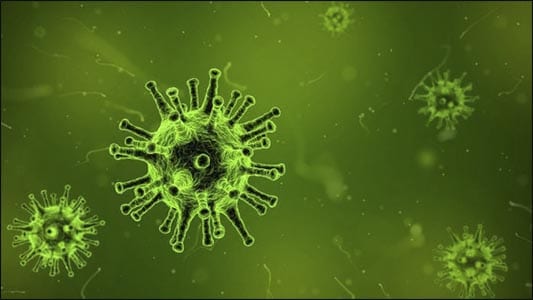 Role of Ayurveda in Handling Viral Infections