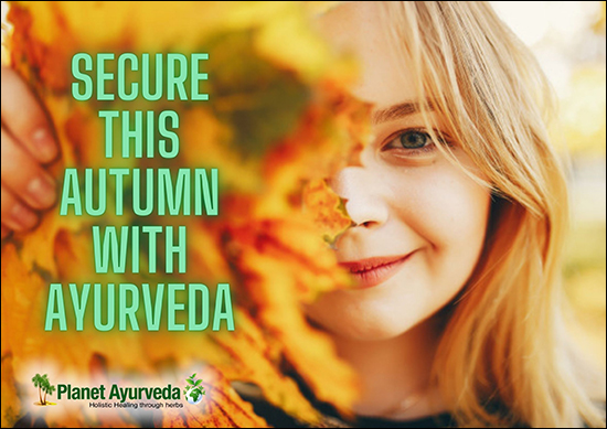 Secure This Autumn With Ayurveda