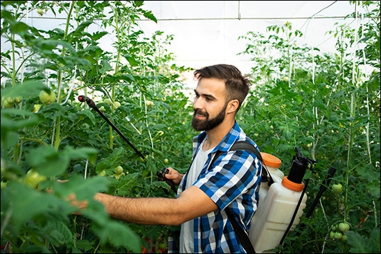 Effects Of Pesticides On Health