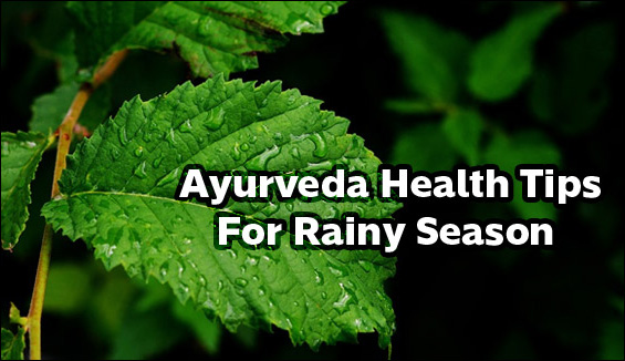 How To Stay Healthy In Rainy Season And How Ayurveda Helps In It?