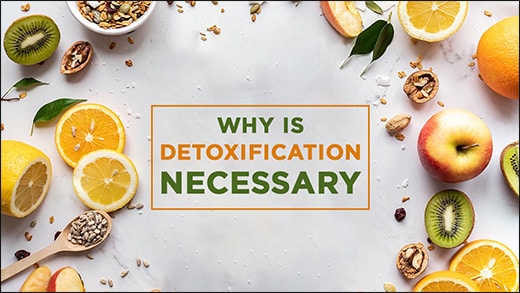 Detoxification And Immunity