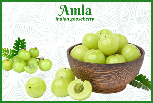 Amla Fruit: A Nutritious and Healing Superfood