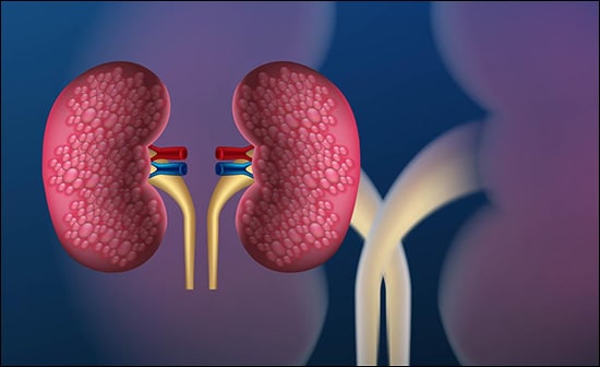 Kidney Diseases And Their Management – Mantra Therapy & Herbal Remedies