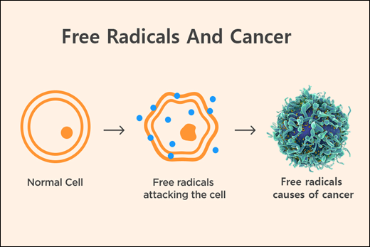 Role Of Free Radicals In Initiation And Progression Of Cancer