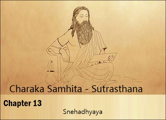 Charak Samhita – Sutrasthana – Chapter 13 (Snehadhyaya)