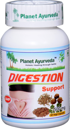 Digestion Support