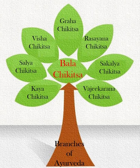 Eight branches of Ayurveda