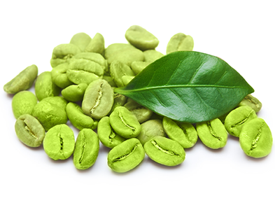 Green Coffee Bean Extract for Weight Loss