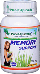 Best Herbal Supplement for Memory