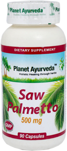 saw palmetto