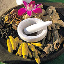 Ayurveda - The Traditional  Medicine of India