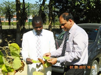 Dr. Vikram Chauhan explaining about Ayurvedic herbs
to Dr. Samson Kibona from Tanzania