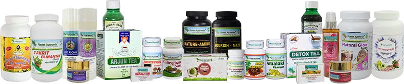 Planet Ayurveda Products