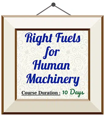 Right Fuels for Human Machinery