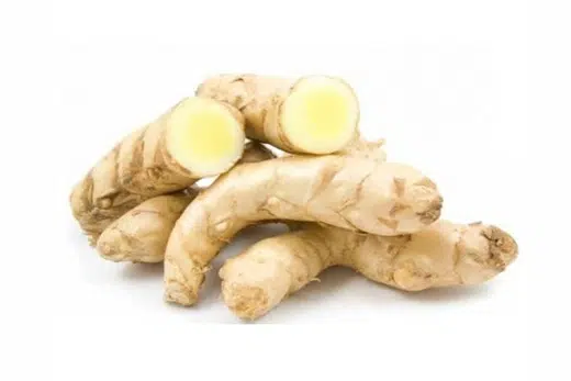 Amba Haldi, Mango ginger, Curcuma amada, Classification, Ayurvedic Properties, Dosage, Vernacular Names, Taxonomical Classification, Habitat, Chemical Composition, Ancient Verse