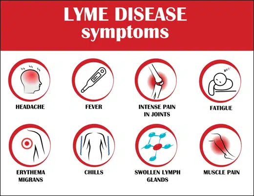 All About Lyme Disease and its Ayurvedic Treatment; Justin Bieber also Struggled with it