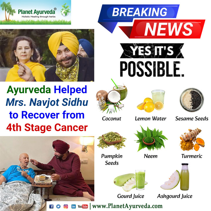 Breaking News, Cancer, 4th Stage Cancer, Cancer Recovery, Navjot Kaur Sidhu, Navjot Singh Sidhu, Navjot Singh Sidhu Wife, Cancer Warrior, Cancer Fighting Natural Remedies, Navjot Kaur Sidhu Cancer News, Cancer Fighting Herbs, Ayurveda News, Navjot Singh Sidhu Diet, Cancer Diet Chart, Diet Plan Of Mrs. Navjot Kaur Sidhu, Navjot Kaur Sidhu Cancer Diet