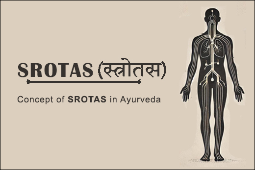 Srotas, Ayurvedic Channels, Body Channels, Vital Flow, Health Pathways, Ayurveda, Holistic Health, Ancient Wisdom, Natural Healing, Traditional Medicine, Pranavahasrotas, Raktavahasrotas, Annavahasrotas, Mutravahasrotas, Swedavahasrotas, Shukravahasrotas, Artavavahasrotas, Detoxification, Metabolism, Mind-Body Balance, Energy Flow, Wellness Journey, Structure Of The Srotas, Synonyms of Srotas, Types of Srotas